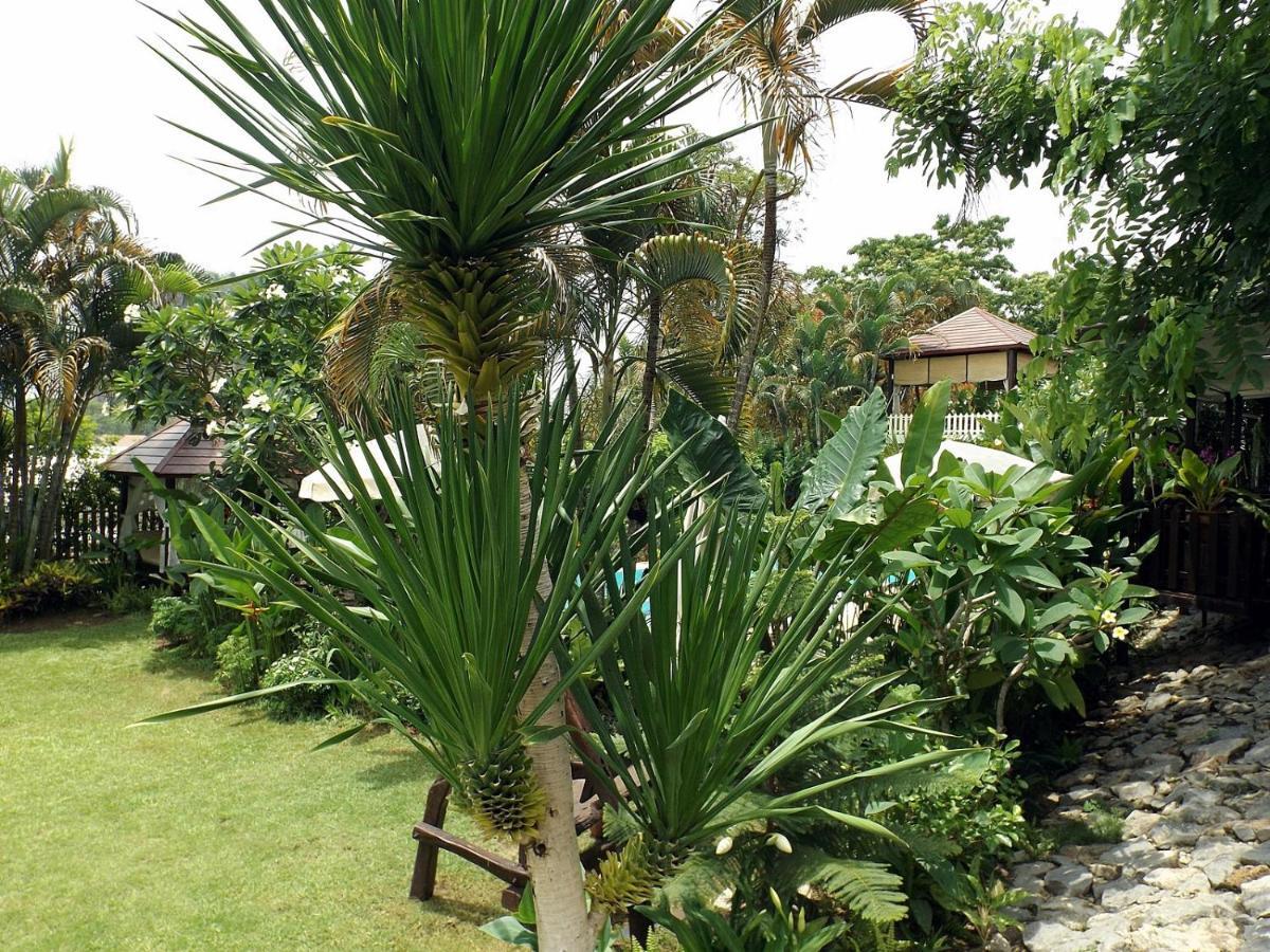 Homestay Chiangrai Chiang Rai Esterno foto
